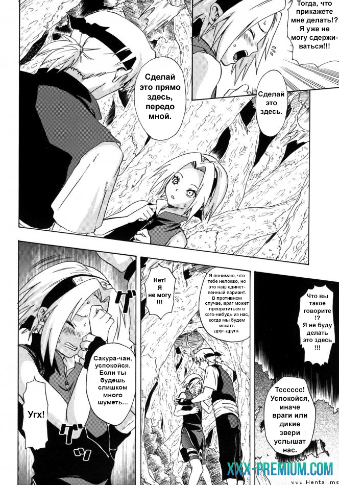 Додзинси по Наруто: Дожидаясь Весну