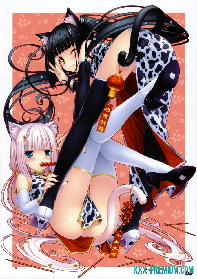 Кошачий Рай