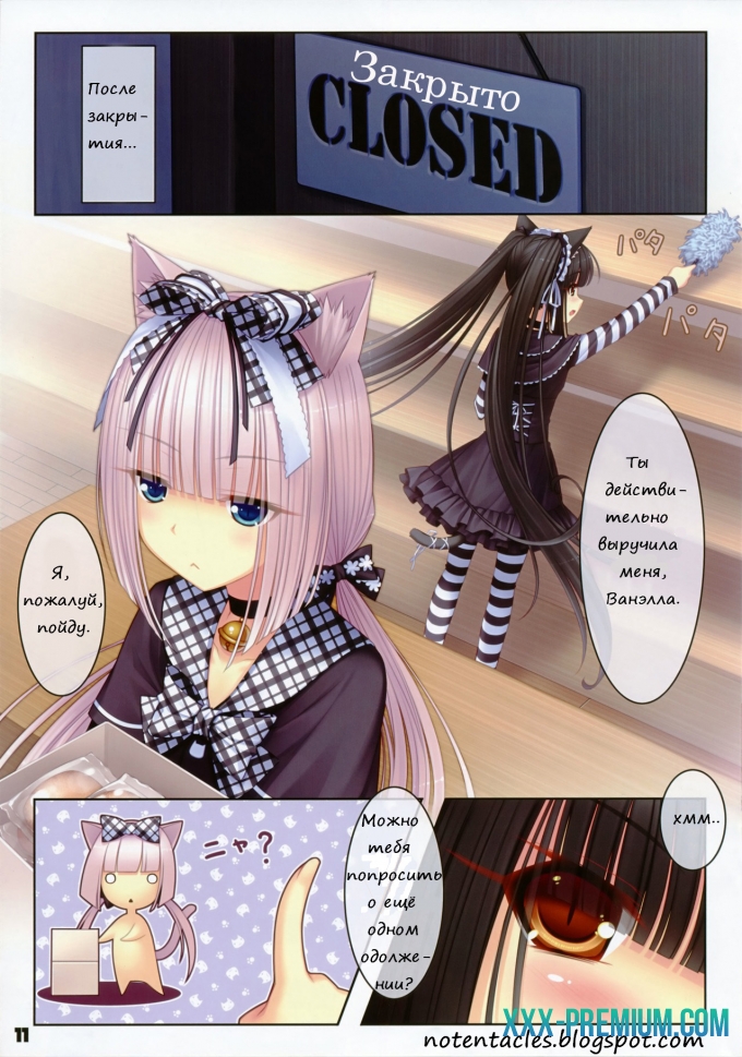 Кошачий Рай