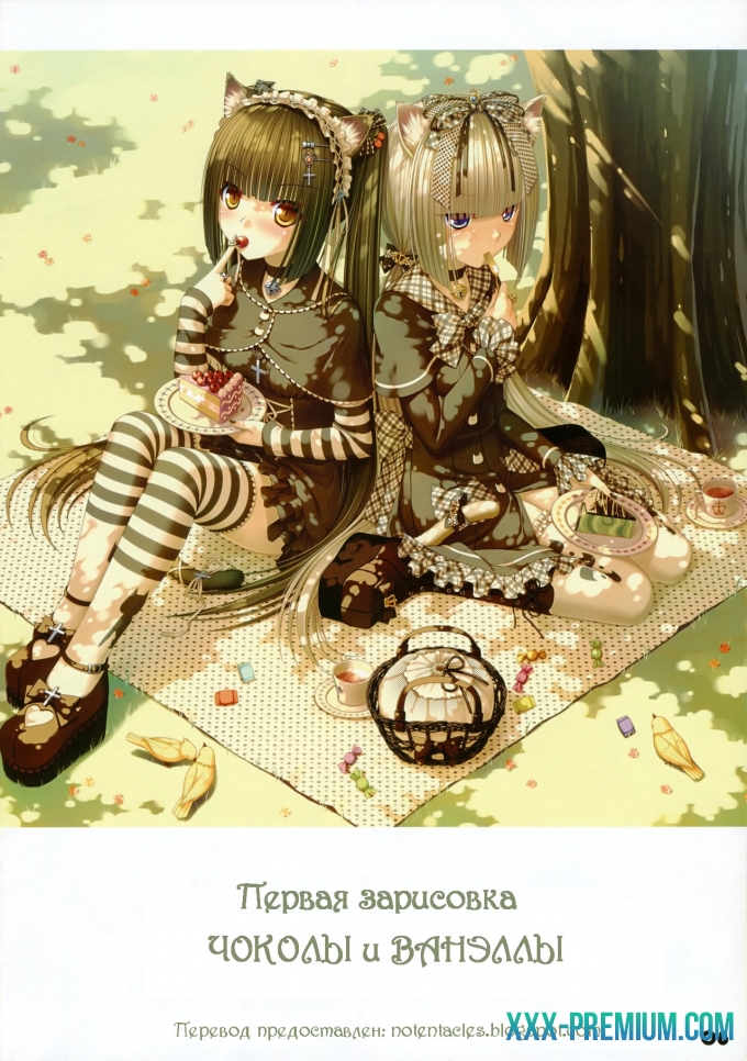 Кошачий Рай